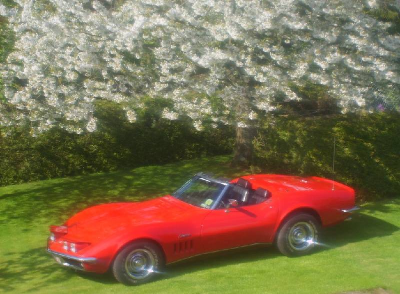 MARTINSRANCH Corvette 69 -05.08.H 